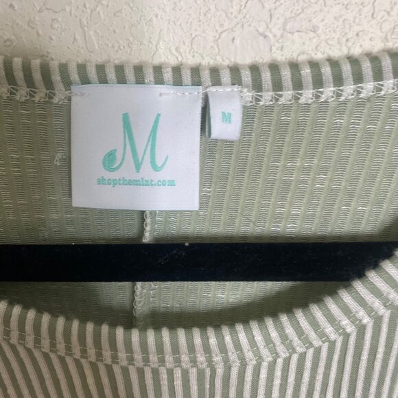 Mint Julep Oversized Short Sleeve Top Medium Green White Striped Boxy - Picture 2 of 6